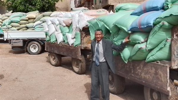 محافظ المنيا: توريد 408 آلاف طن من القمح بصوامع المحافظة