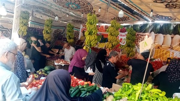 محافظ الدقهلية: استمرار انطلاق أسواق اليوم الواحد الجمعة والسبت كل أسبوع بالمنصورة