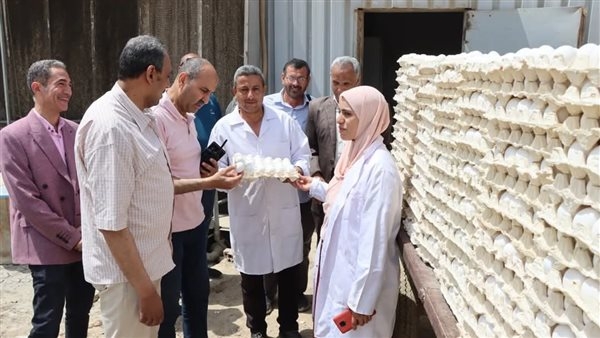 سكرتير عام مساعد بني سويف يتابع مشروعات الدواجن المركزية