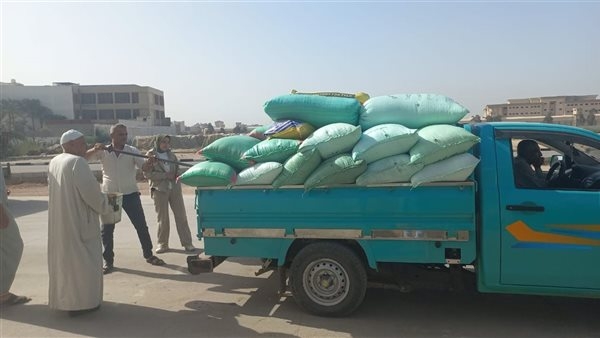 ضمن خطة الدولة لتحقيق الأمن الغذائي.. البحيرة تورد أكثر من 261 ألف طن قمح حتى الآن