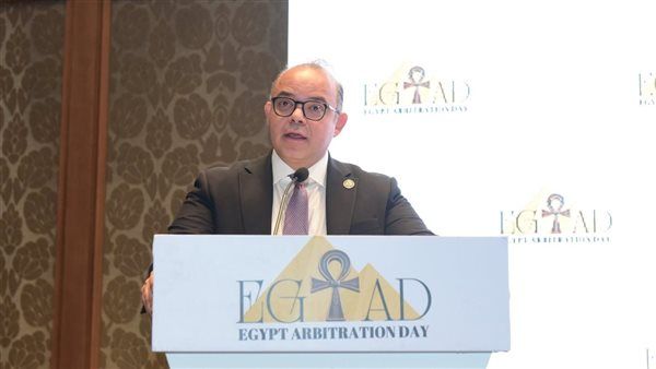 رئيس الرقابة المالية: مقترح بتعديل النظام الأساسي للمركز المصري للتحكيم
