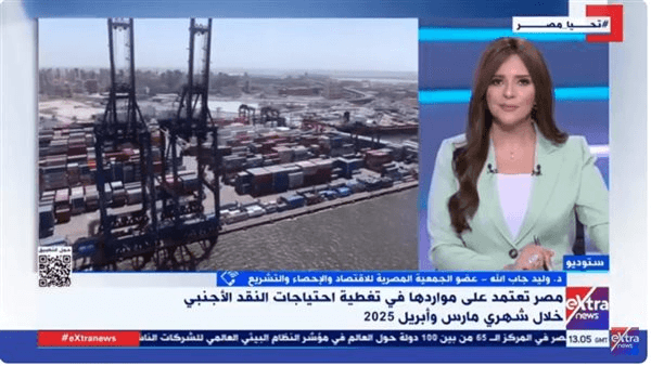 وليد جاب الله: الاقتصاد المصري يحقق نجاحًا كبيرًا في تغطية الاحتياجات الدولارية