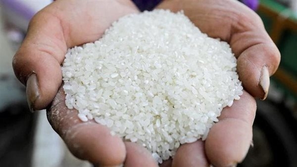 أسعار طن الأرز الشعير اليوم الخميس 29 مايو 2025