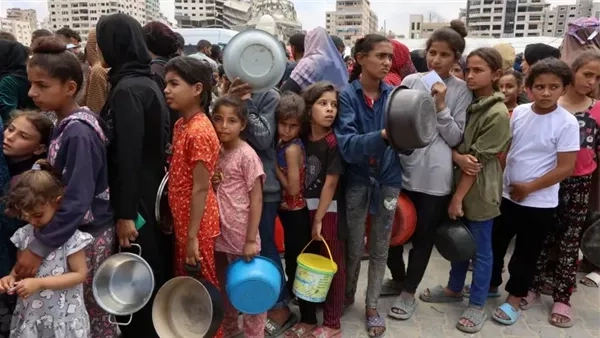 أسامة كمال: مركز توزيع المساعدات بغزة تحول فى لحظة لساحة إعدام جماعى