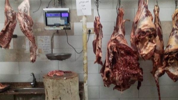 تزامنًا مع عيد الأضحى.. محافظ أسوان: تخصيص معارض دائمة لبيع اللحوم بأسعار مخفضة