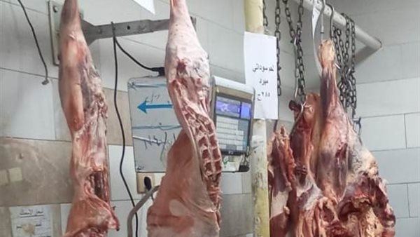 أسعار اللحوم في معارض أسوان