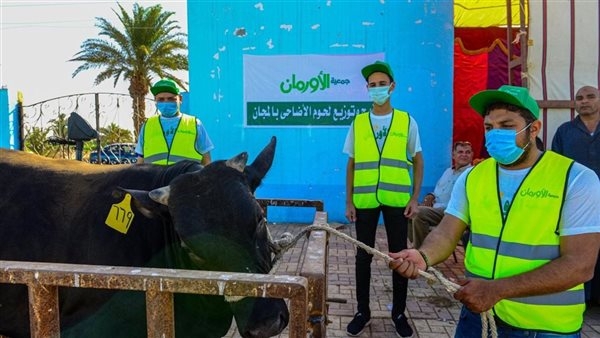 بدءا من الغد.. 'الأرومان' تعتزم توزيع لحوم 65 عجلا على الأسر الأولى بالرعاية