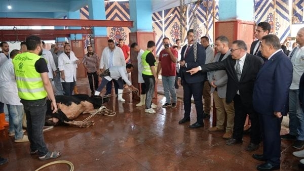 محافظ الدقهلية يشهد ذبح الأضاحي بمجزر طنامل لتوزيعها على الأسر الأولى بالرعاية