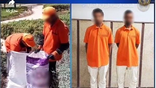 الداخلية تكشف ملابسات فيديو وضع كلاب داخل أجولة بقرية أمواج فى مطروح