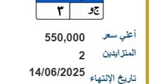 بـ550 ألف جنيه.. مزاد على لوحة سيارة مميزة "ج و- 3"