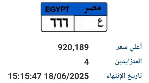 بمليون جنيه.. مزاد على لوحة سيارة مميزة "ع- 666"