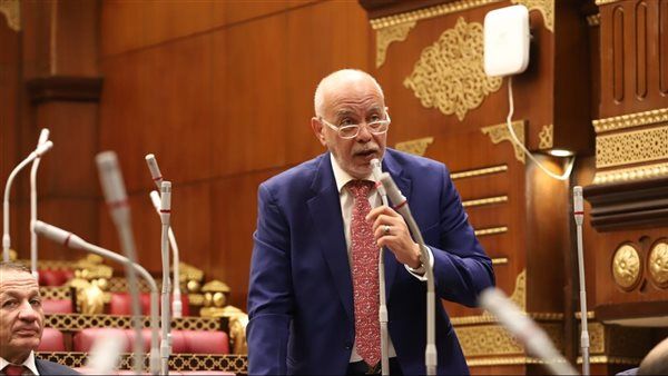 برلماني: كلمة مصر أمام الأمم المتحدة صرخة ضمير عالمية تجاه جرائم إسرائيل بالمنطقة