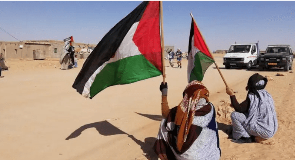 المخرج الأمريكي كريستوفر نولان... آخر المُوَرَّطِين الصحراء الغربية!