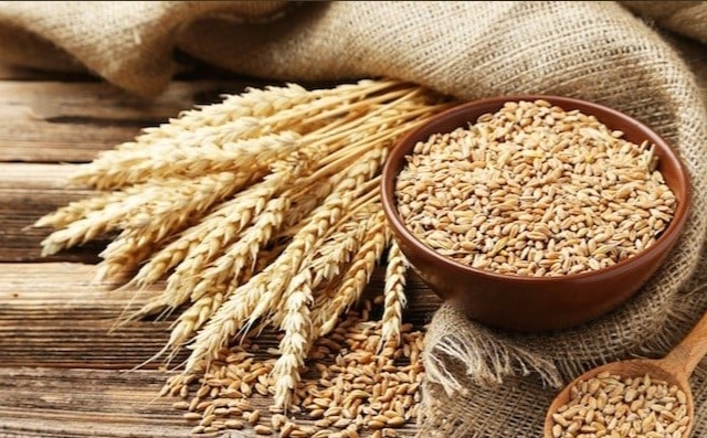 تعرّف على الفوائد الصحية لتناول النخّالة