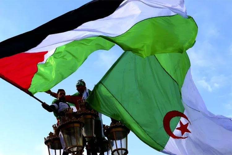 الجزائر… ضمير الأمة في مواجهة إبادة غزة