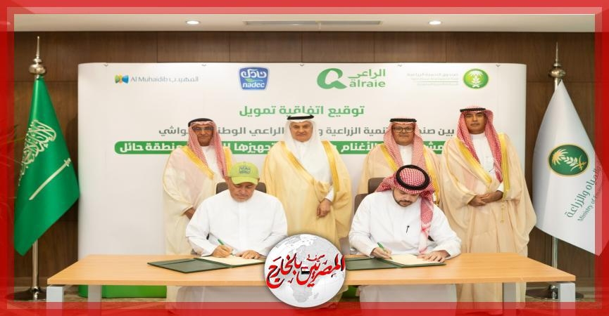 بدعم من صندوق التنمية الزراعية 'نادك' تقود استثمارات استراتيجية في قطاع اللحوم الحمراء عبر مشروع ضخم لتربية الأغنام بحائل