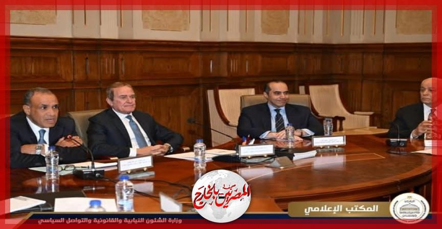 وزيرا الخارجية والشئون النيابية يحضران اجتماع لجنة حقوق الإنسان بمجلس الشيوخ بشأن قضايا حقوق الإنسان في مصر