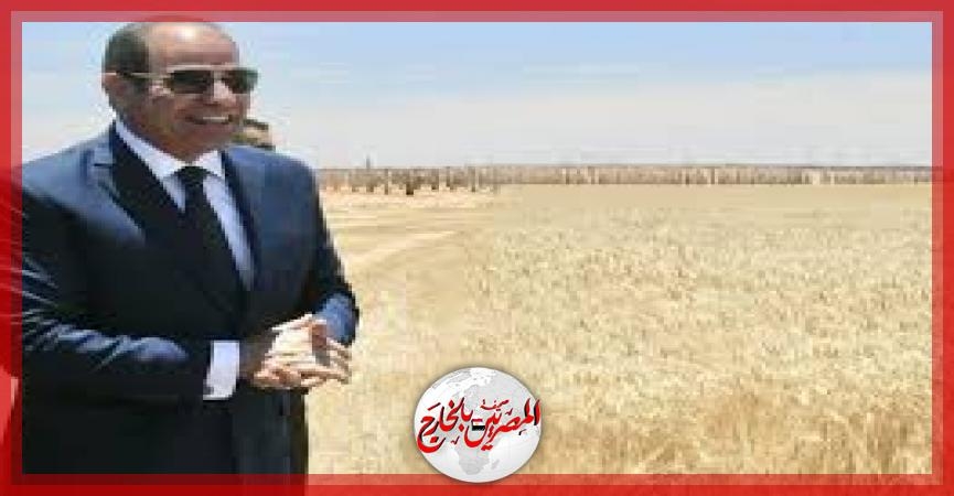 الرئيس_السيسي يشهد فعاليات موسم حصاد القمح 2025