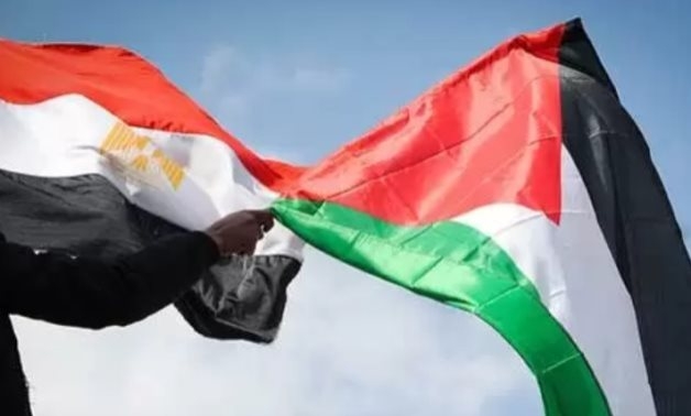 Egypt welcomes ILO resolution granting observer status to Palestine