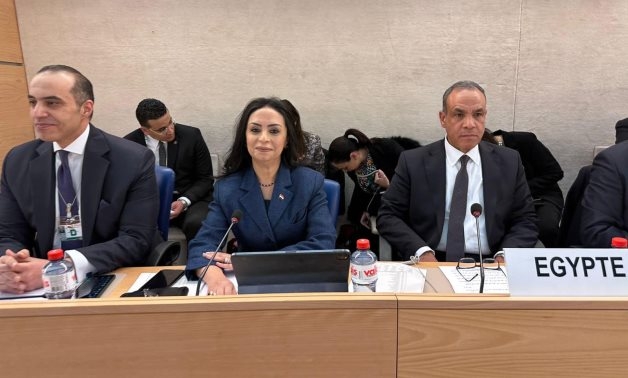 Egypt proud of what achieved in right to social security, protection: Maya Morsi