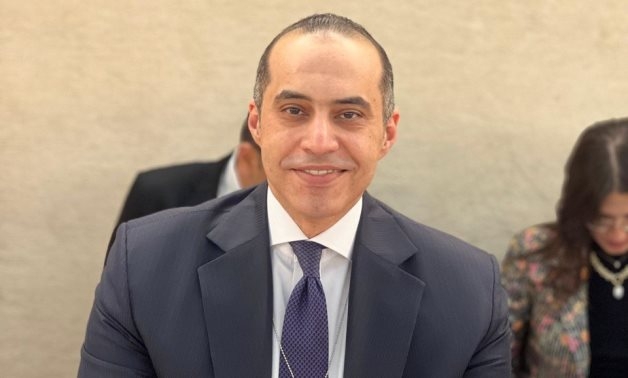 Egypt achieved comprehensive legislative leap in civil, political rights: Minister of Parliamentary Affairs