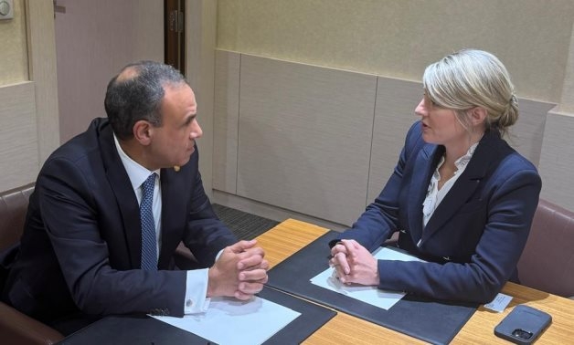 FM praises historical ties between Egypt, Canada during meeting Canadian counterpart