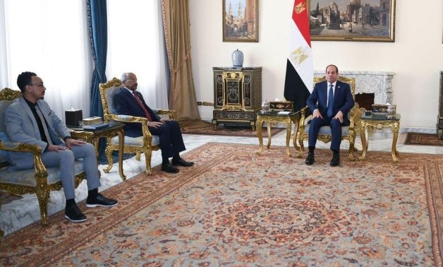 President Sisi, Eritrean FM discuss African issues, Red Sea crisis