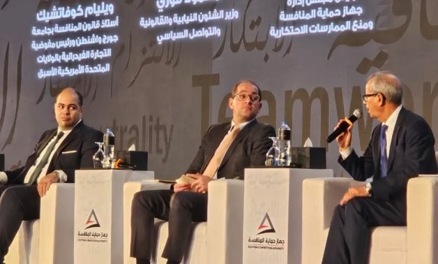 Egypt's Private Sector Investments Jump Nearly 80 Percent Following Economic Reforms