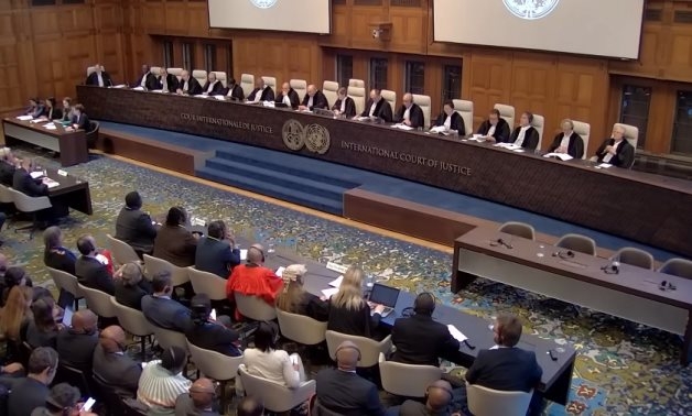 Egypt maintains firm stance in support of Palestinian cause: Representative at ICJ
