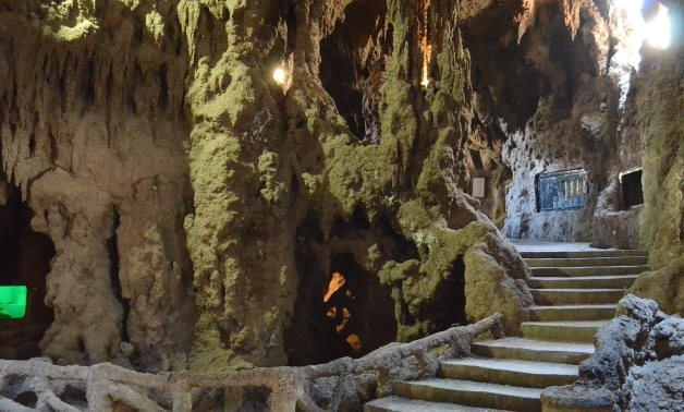 Egypt discusses cooperation with UNESCO, FAO to develop Agricultural Museum, Aquarium