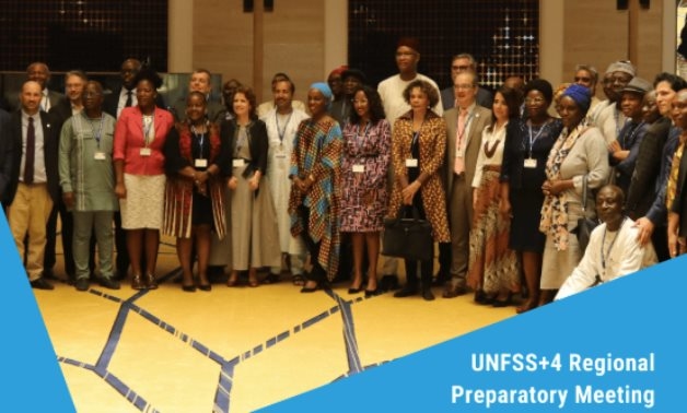 Egypt's Assistant FM presents development priorities to African meeting ahead of UN food systems summits