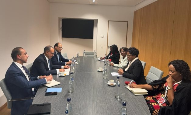 FM affirms Egypt's commitment to stronger ties with Malawi