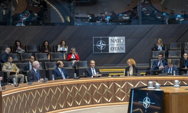 FM asserts Egypt's commitment to strengthening cooperation with NATO