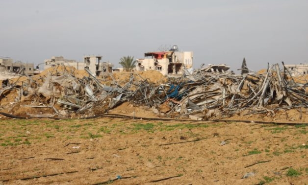 FAO: Less than 5% of Gaza cropland available for cultivation