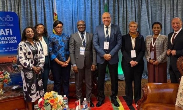 Egypt seeks ICAO Council seat, backs African aviation integration