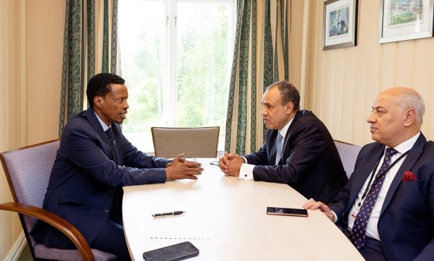 Egypt FM, Somalia's National Security Adviser review bilateral ties
