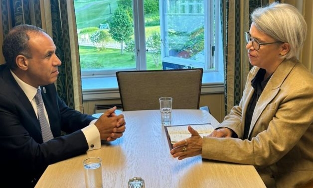 Egypt's FM: Threats to Red Sea security directly impact global economy