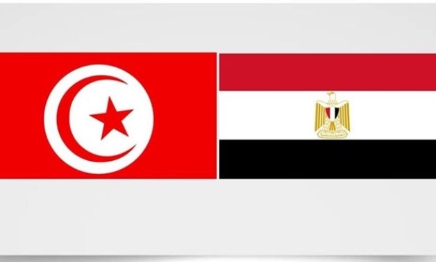 Egypt, Tunisia discuss boosting religious cooperation