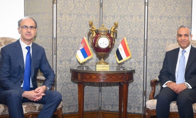 Egypt's FM, Serbian PM discuss opportunities for increasing mutual investments