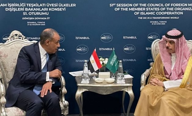 Egypt's FM, Saudi Counterpart discuss bilateral ties, regional escalation