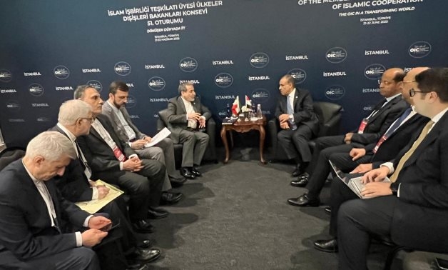 Egypt's FM, Iranian counterpart review outcomes of recent talks in Geneva