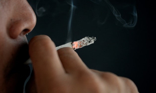 Egypt's tobacco imports rise in 1st quarter of 2025