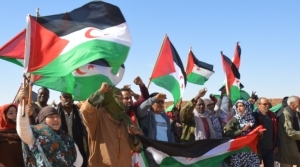 بمختلف دول العالم لدحض أكاذيب المحتل المغربي