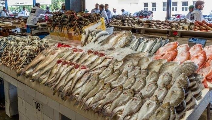 البلطي الكبير بـ 84 جنيها.. أسعار الأسماك والجمبري اليوم الأحد 29 يونيو 2025