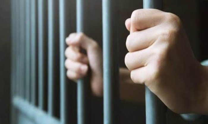 المشدد 10سنوات لشخصين بتهمة التزوير والاتجار بالمخدرات في القليوبية
