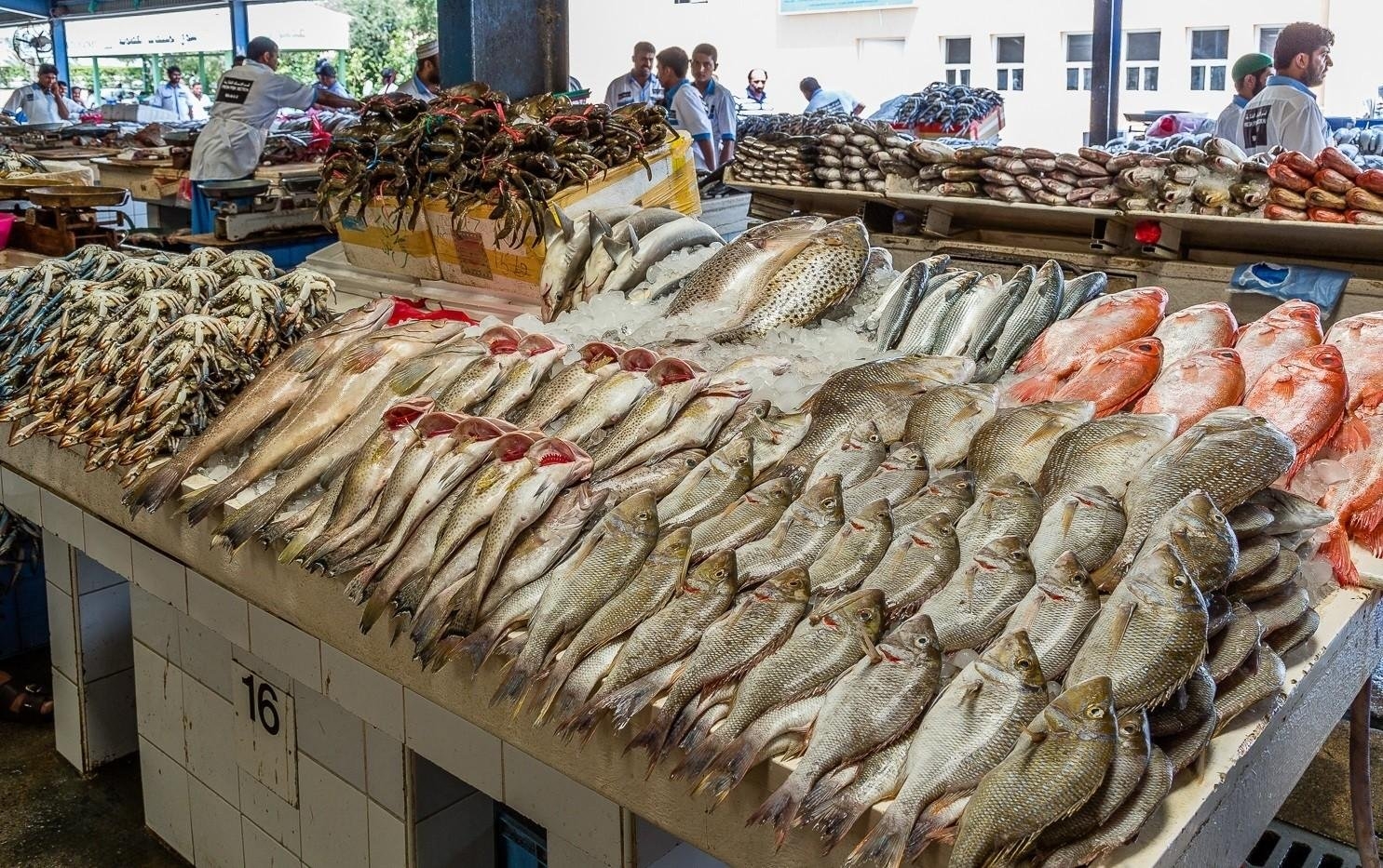 أسعار الأسماك والجمبري اليوم الأحد 22 يونيو 2025