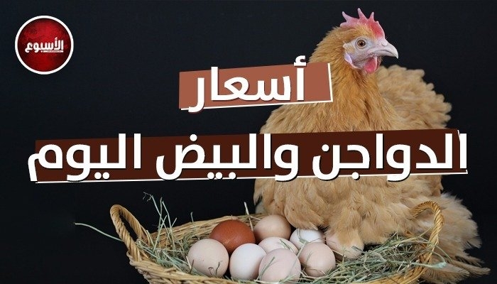 مع أول أيام العيد.. أسعار الفراخ اليوم الاثنين 31 مارس 2025