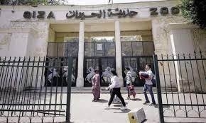 موعد افتتاح حديقة الحيوان بمحافظة الجيزة