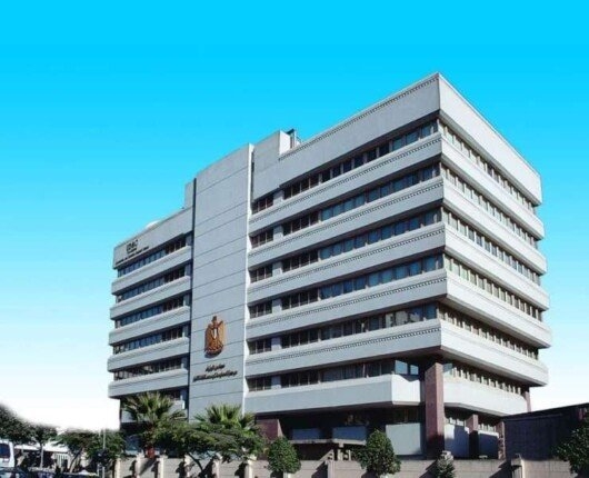 «معلومات الوزراء» يستعرض دور اقتصاد المنصات الرقمية في إعادة تشكيل الأسواق العالمية