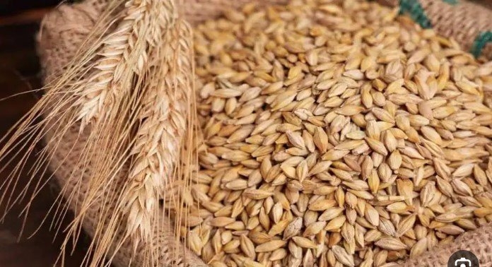 سعر طن الأرز الشعير اليوم السبت 21 يونيو 2025